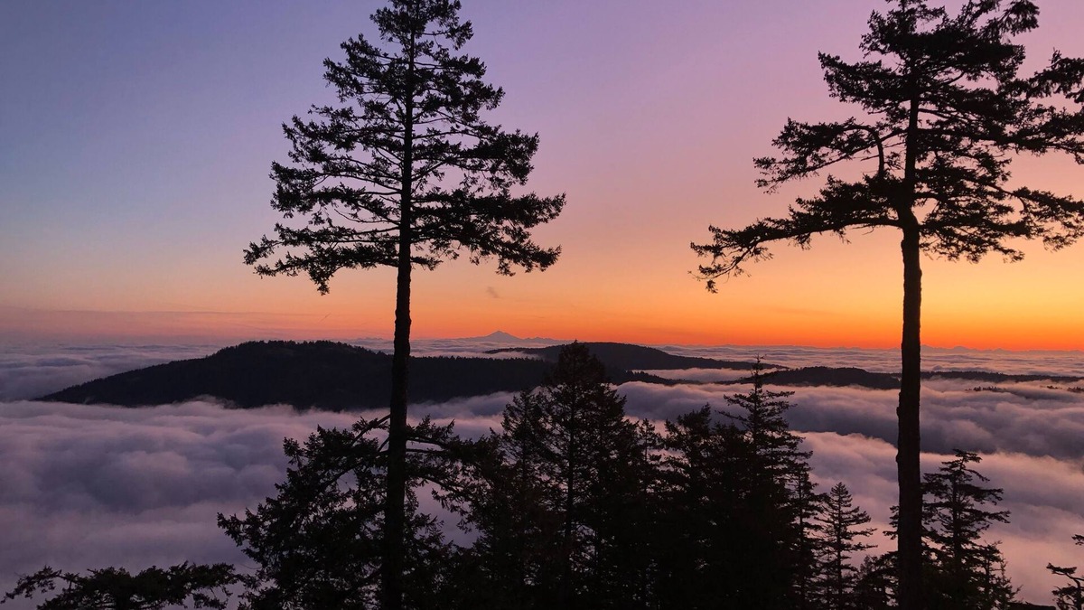 Juan de Fuca Electoral Area House | Rural retreat, amazing views on 21 acres, within driving distance to Victoria.
