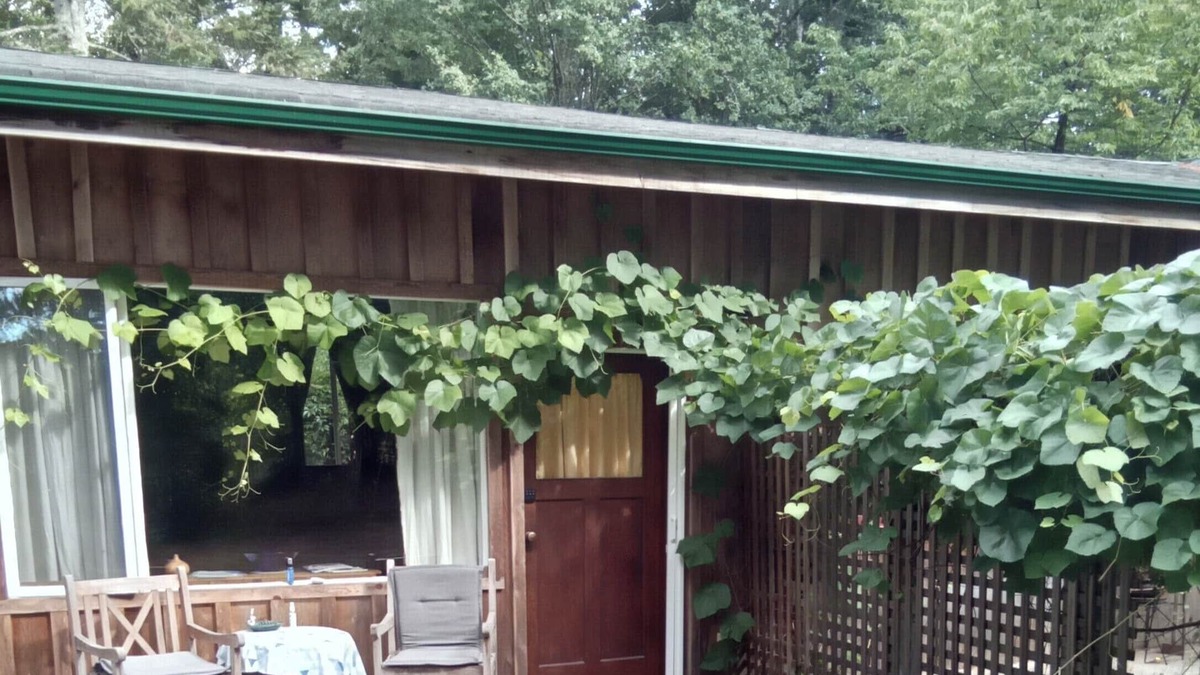 Regional District of Nanaimo Cottage | Rural setting, semi- detached suite , amenities close by