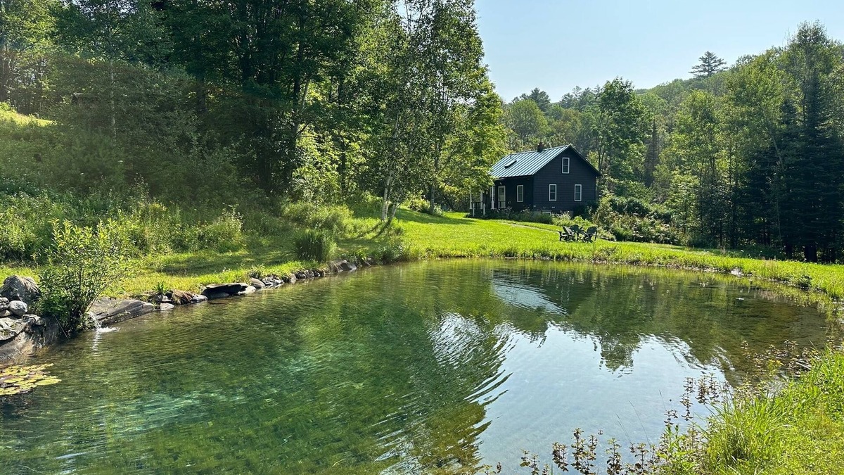 Washington House | Rural Vermont with internet and Smart TV, cell phone works, Dogs welcome.
