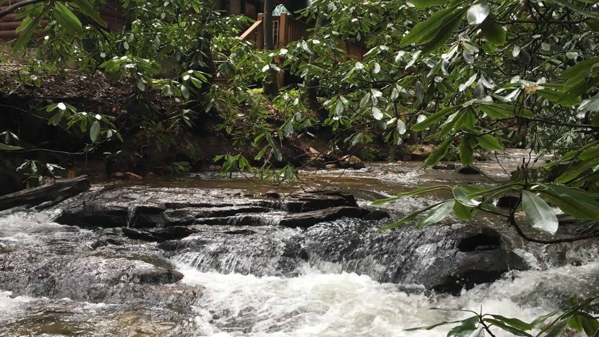 Ellijay Cabin | Rushing Creek, Private Haven, Children's Paradise, Enchanted playground