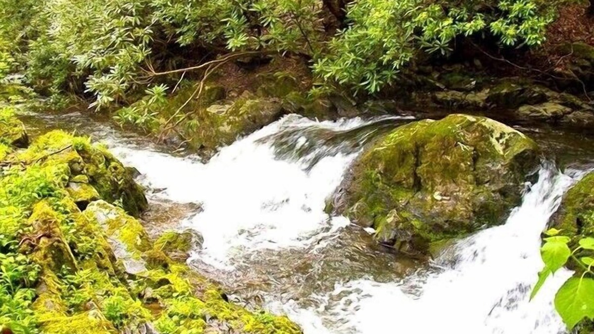 Rocky Grove Cabin | Rushing Waters Cabin- A Romantic Creek Side Retreat with Waterfalls