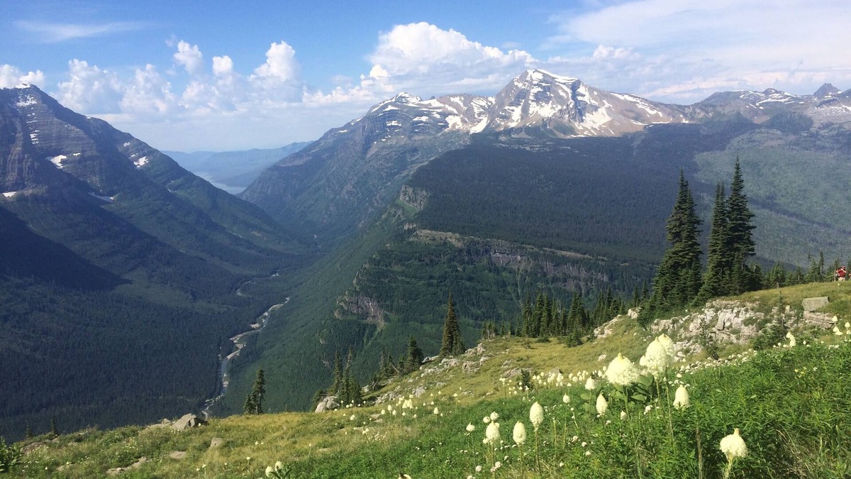 West Glacier Cabin | Rustic 2 Bedroom Cabin, 2 Baths, Sleeps 4, 2 Minutes From West Glacier