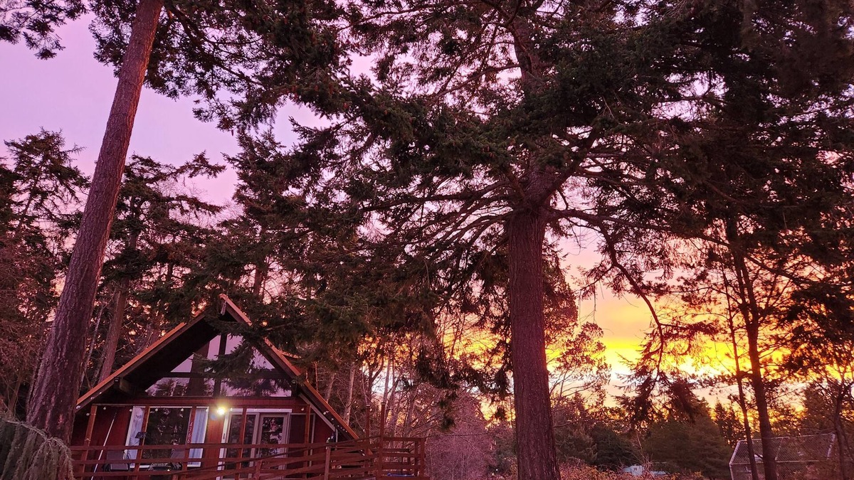 Oak Harbor Ski Chalet | Rustic A-Frame Retreat 5 mins from Deception Pass