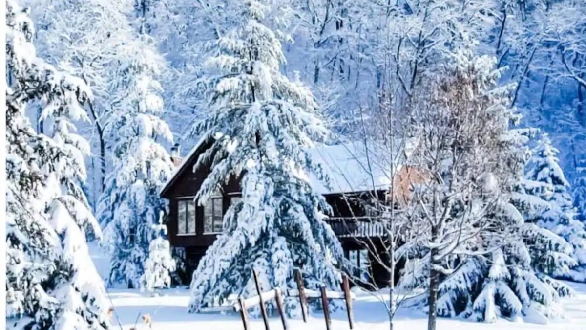 Decorah House | Rustic Acres Cabin & Springs