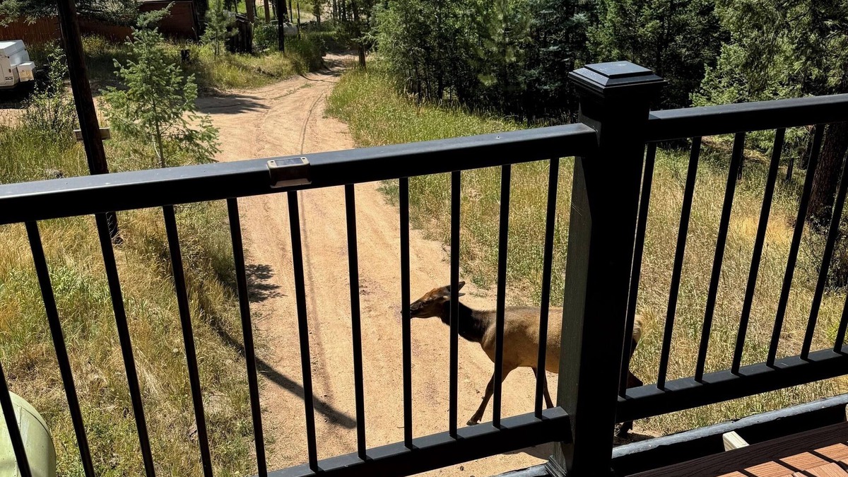 Evergreen House | Rustic and charming 2 bedroom retreat with a beautiful deck