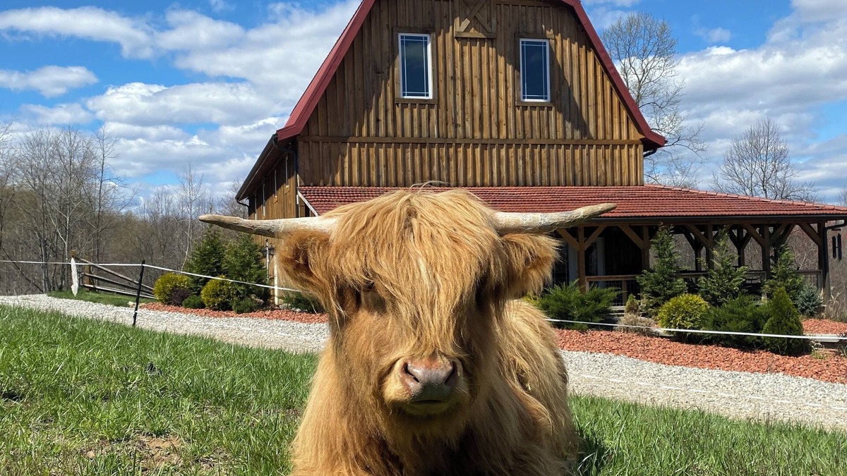 McArthur House | Rustic Barn Cabin on Highland Cow Farm: Hiking Trails, Hot Tub and Pool Table