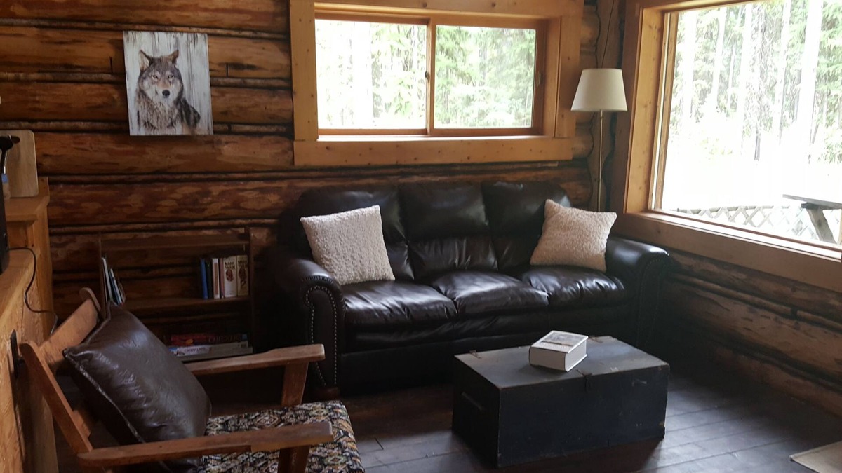 Condon Cabin | Rustic cabin hidden among the pines.