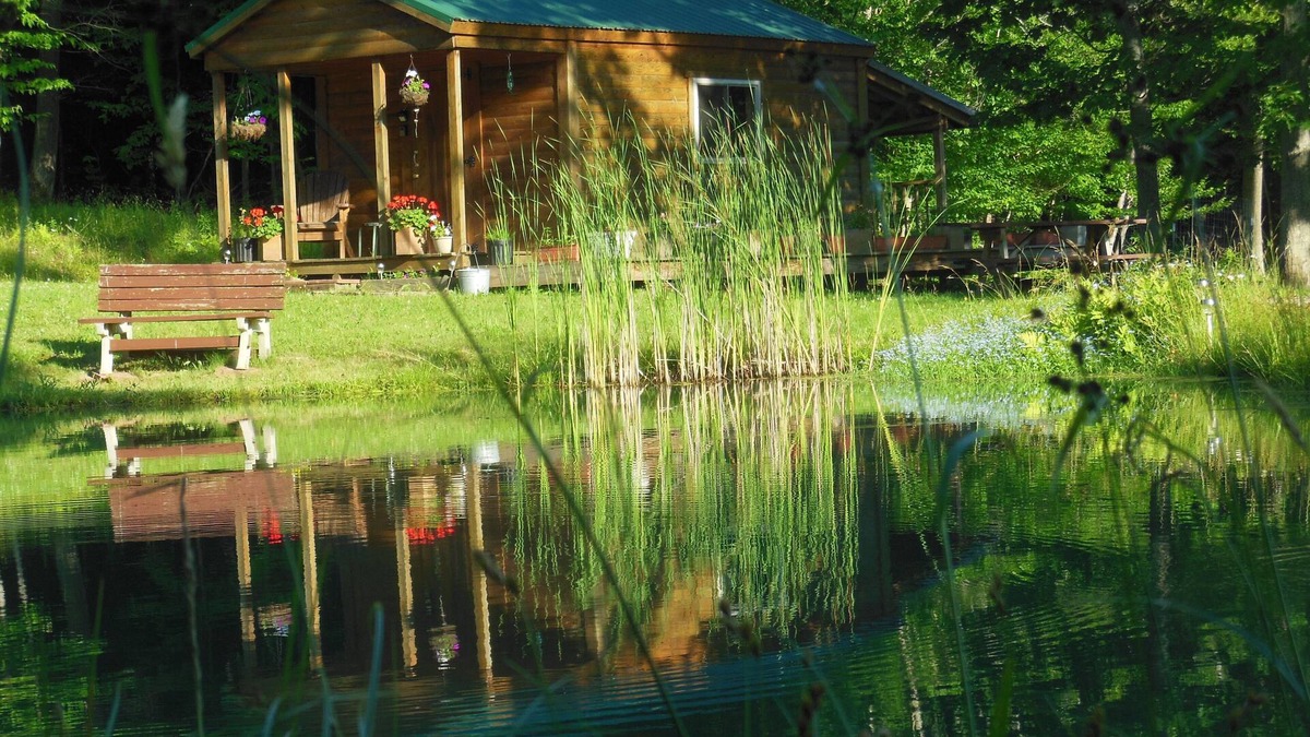 Wellsville Cabin | Rustic cabin, solarpower, heated, hiking, 3ponds,wildlife, dark skies/stargazing