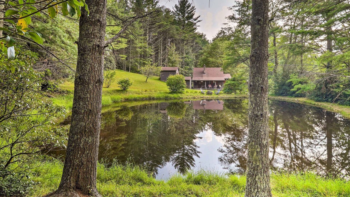 Ennice Cabin | Rustic Cabin w/Patio & Pond on Blue Ridge Parkway