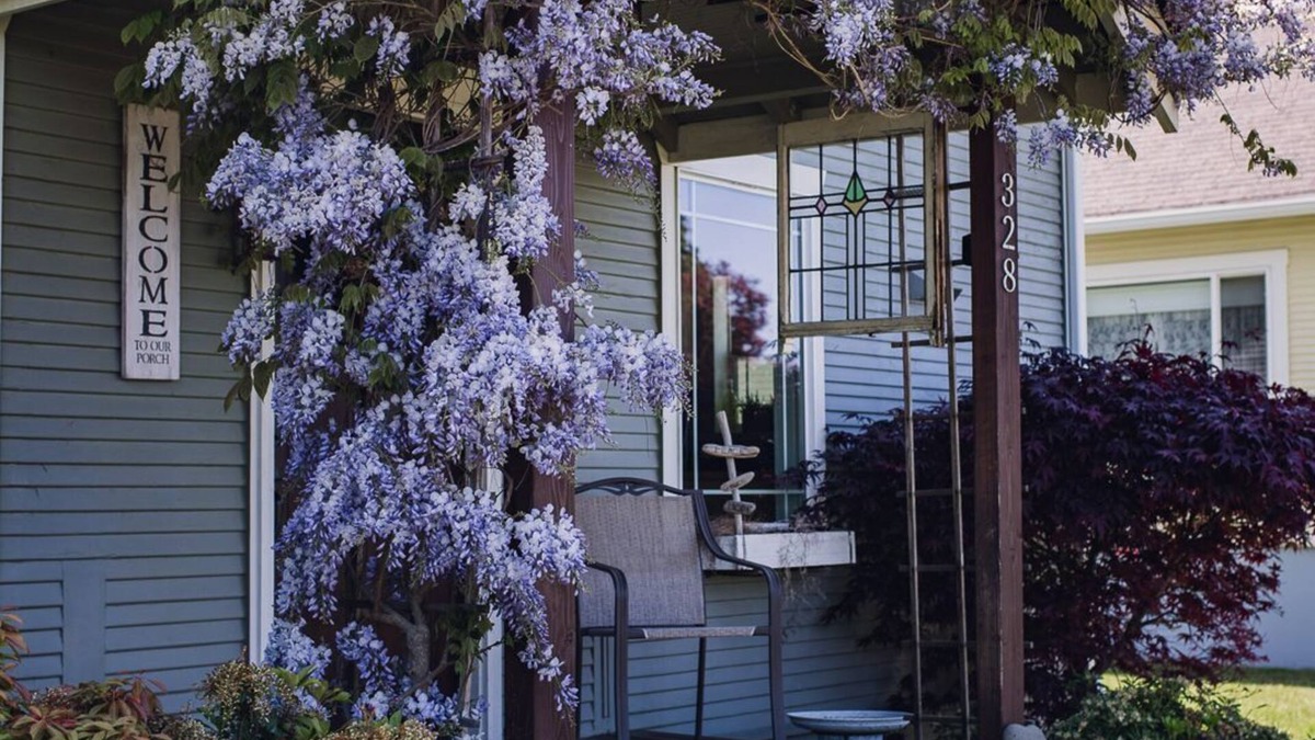Port Angeles House | Rustic Charmer in Port Angeles by Olympic National Park