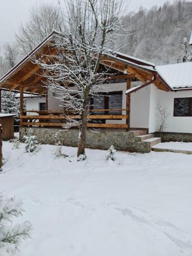 Malaia House | Rustic Home