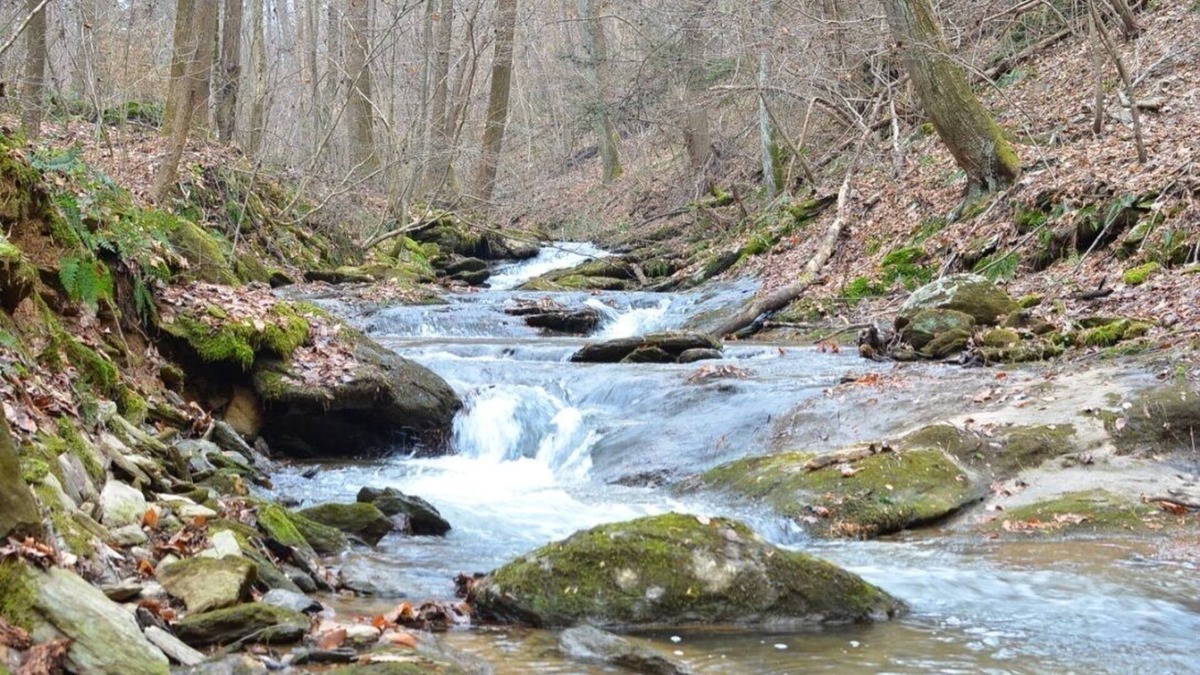 Airville RV Rental | Rustic lodge on 128 acres of natural park and conservation area