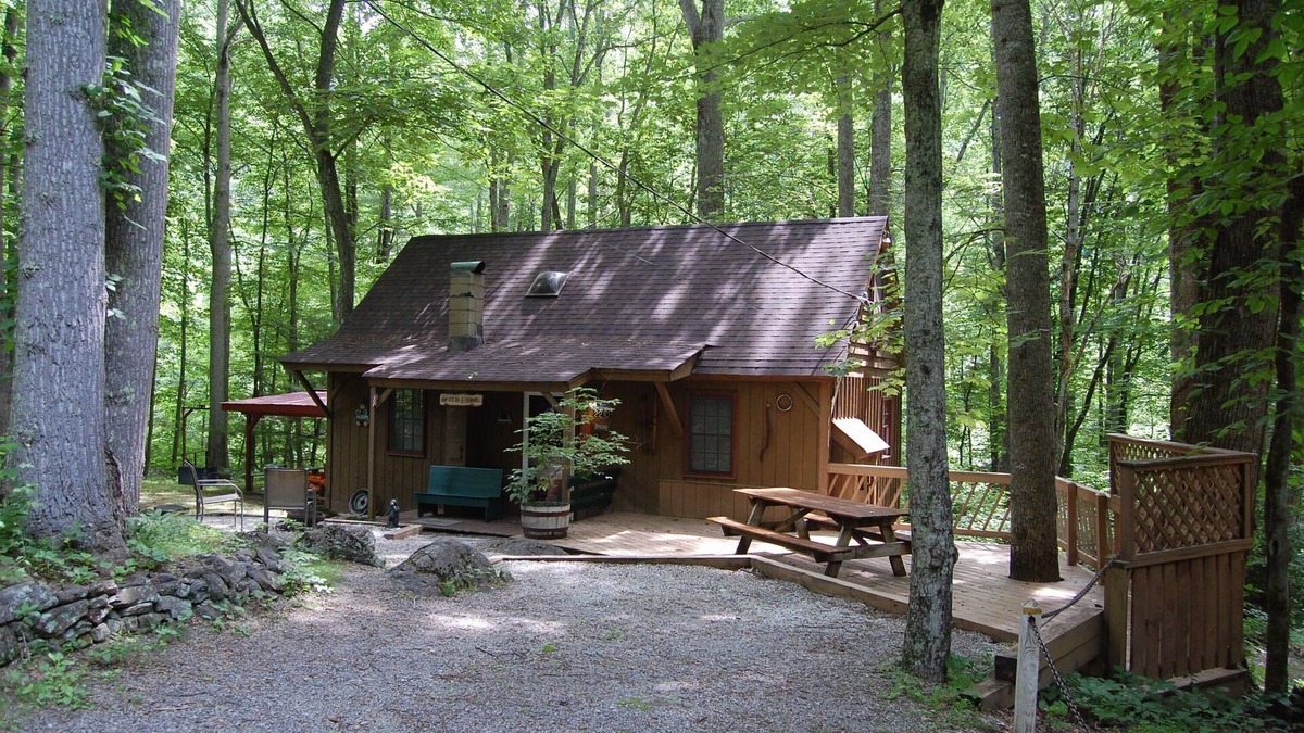 Tyro Cabin | Rustic Mountain Retreat-Bear Paw