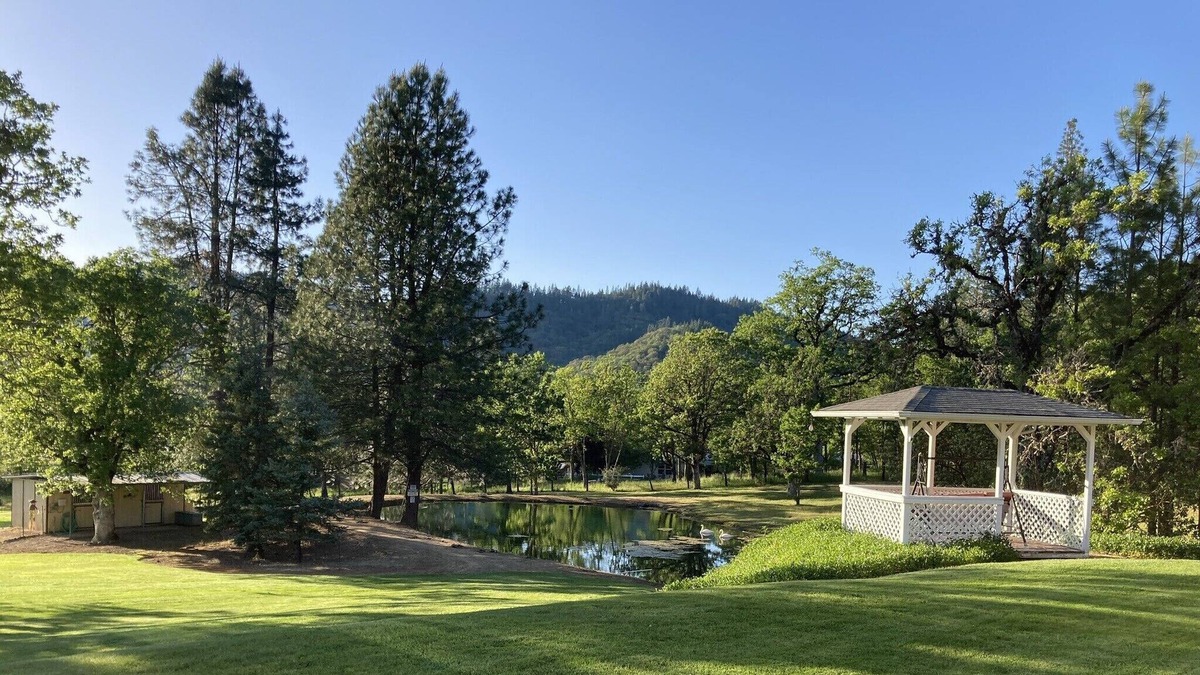 Rogue River House | Rustic Ranch ~ 5 Acres Peaceful & Private with room to roam and fish on site