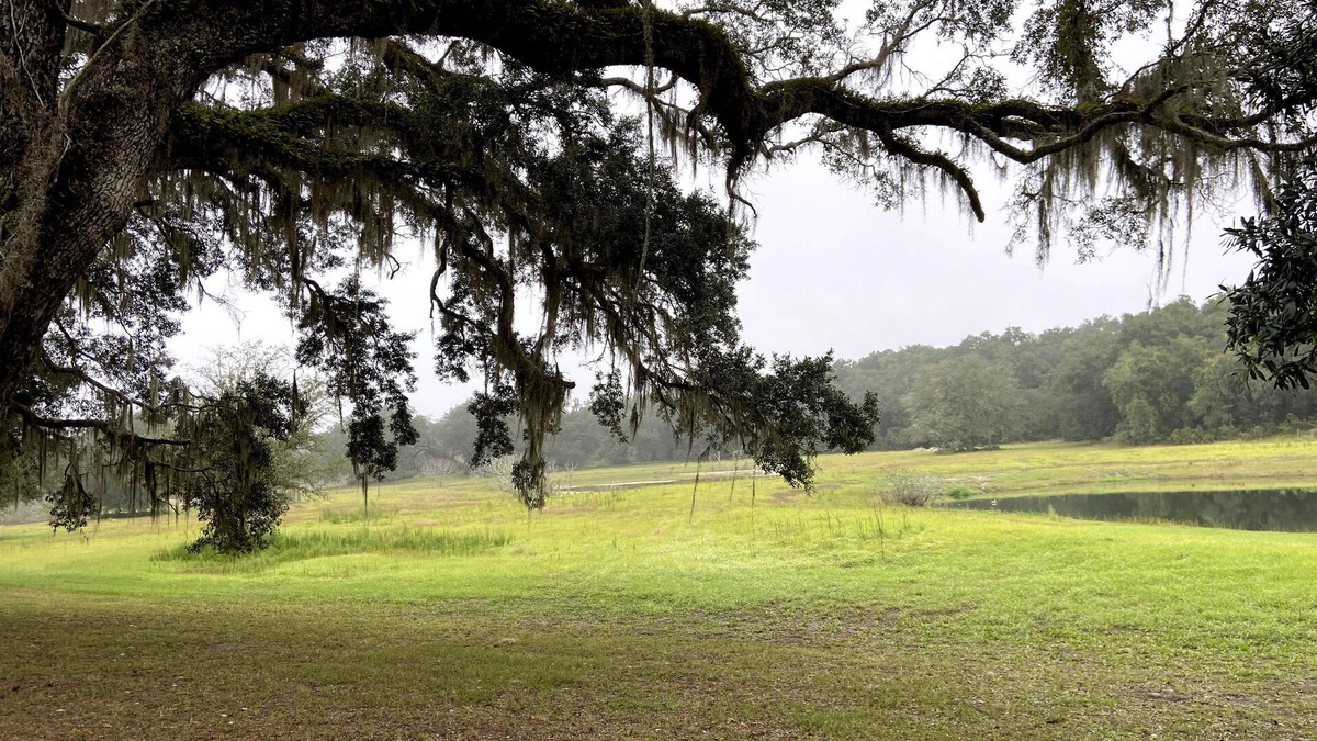 Old Town Other | Rustic Retreat: Ranch Home with 40 Private Acres and Covered Patios n