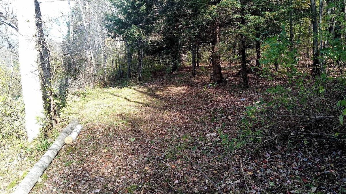 Cherry Valley RV Rental | Rustic Secluded Peaceful Getaway in Cherry Valley