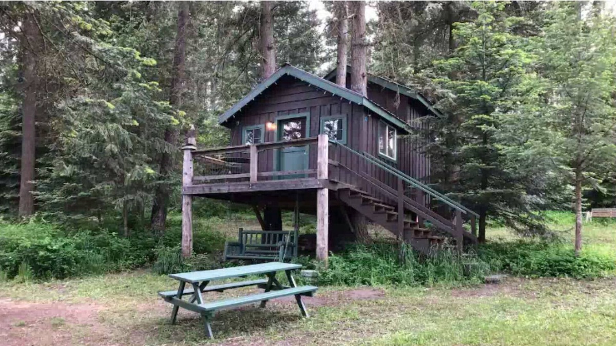 Mead Cabin | Rustic Treehouse Cabin on Green Bluff!