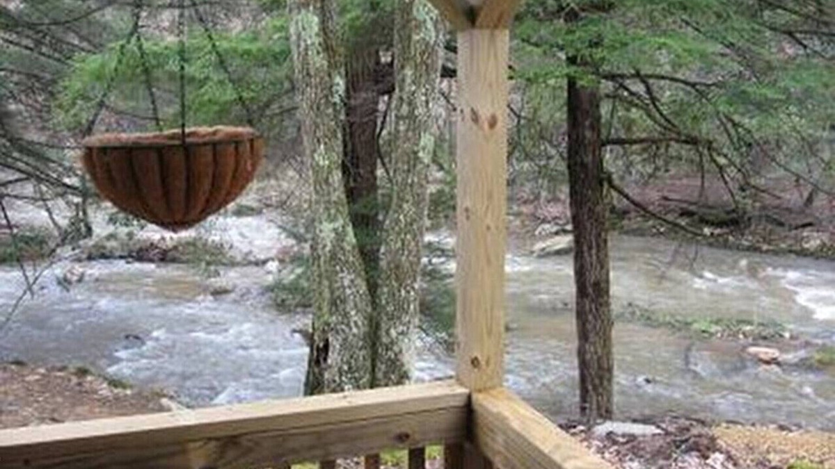 Elk Garden Cabin | Rustic Waterfront Cabin- Enjoy the Sounds of Nature Right From Your Porch