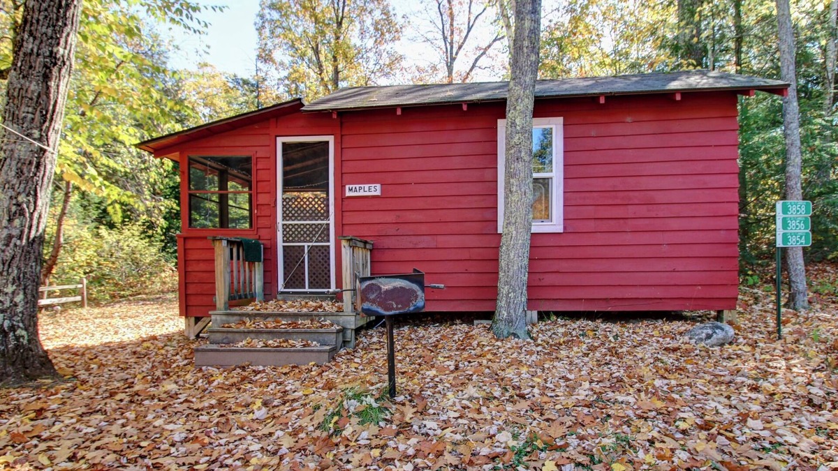 Lac du Flambeau Cabin | Rustic, Wisconsin Northwoods Cabin. Family & Pet Friendly! Hear the Loons!