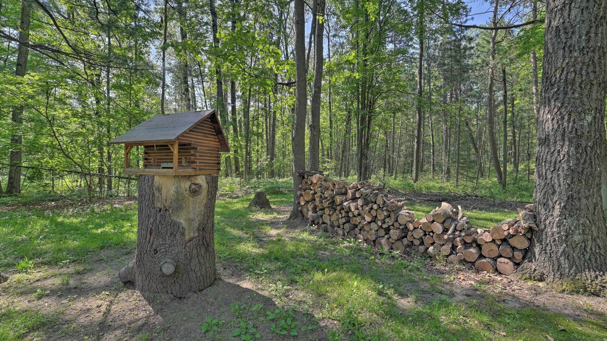 Mio Cabin | Rustic Wooded Retreat w/ Fire Pit, Near Trails!