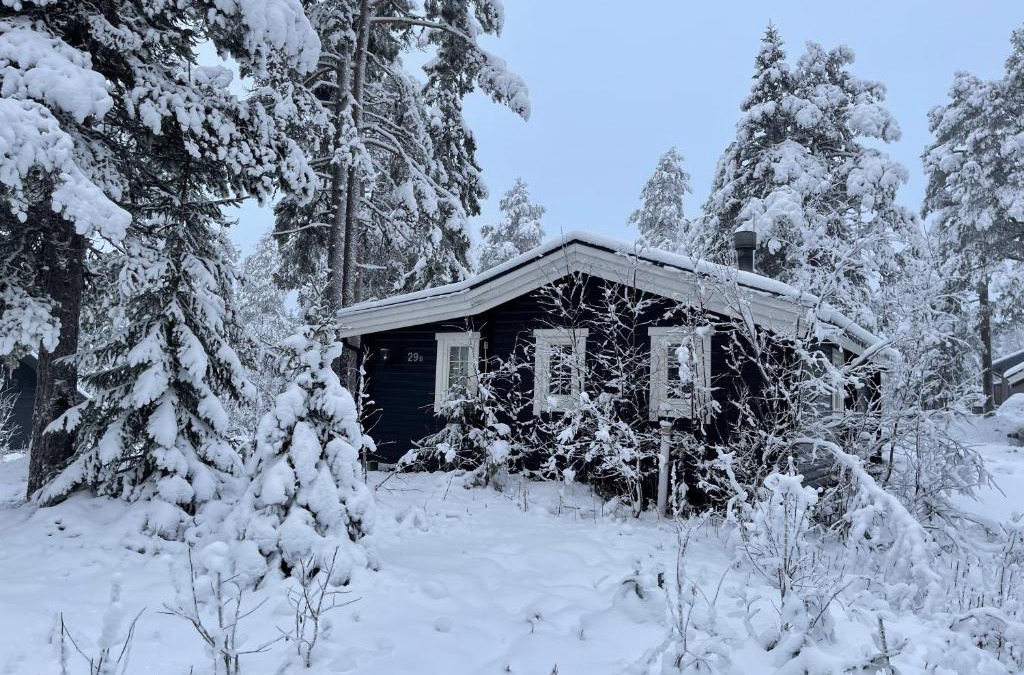 Stoten House | Rustik timmerstuga nära Tandådalens anläggningar