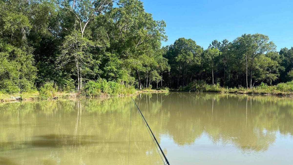 Montgomery County House | RV on a Private Lake