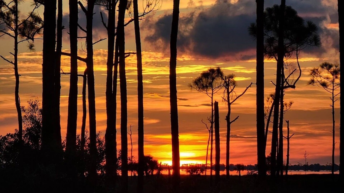 Port St. Joe RV Rental | RV Site, Hookups, Close to Bay ~ Twilights Reach