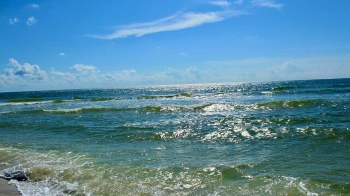 Port St. Joe RV Rental | RV Site Near Indian Pass, Plenty of Parking ~ One More Day