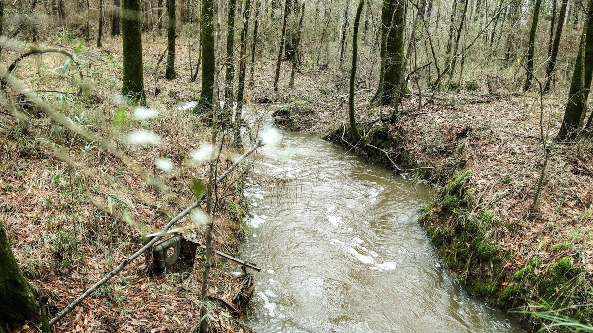 Mittie RV Rental | RV Slot Only with WiFi in charming Mittie. Near Kinder. Hunting and Fishing.