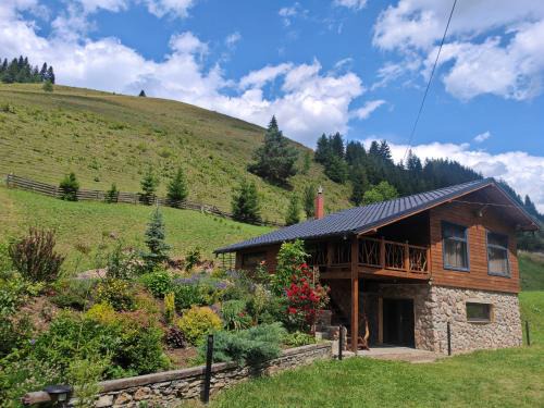 Damuc Ski Chalet | Ryan's Cabin