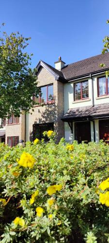 Mohill House | Rynn Haven - Enchanting Townhouse Lough Rynn