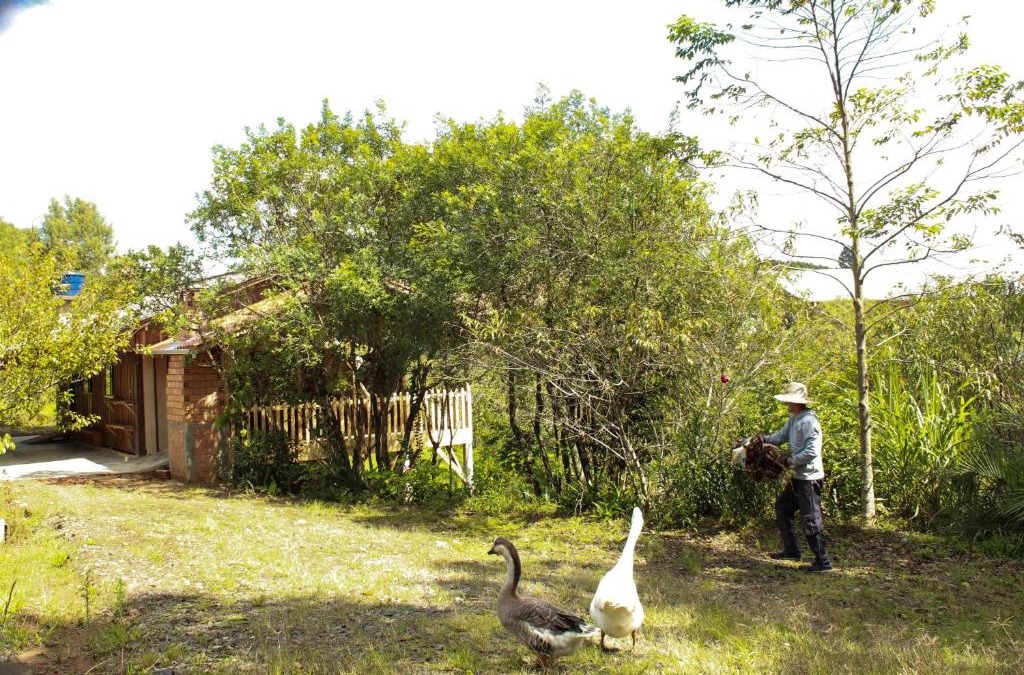 Campo Alegre House | Sítio e Pousada Paulo Lampert