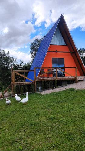 Miringuava Cabin | Sítio Eco-Betel Chalé Pitanga