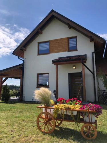 Smoldzinski Las House | Słowińskie Widoki domki Flora, Fauna, noclegi Smołdziński Las