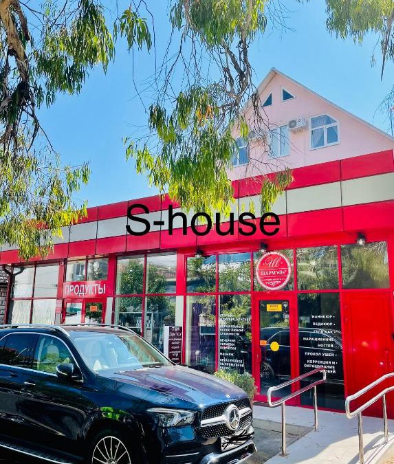 Adler City Centre House | S-House