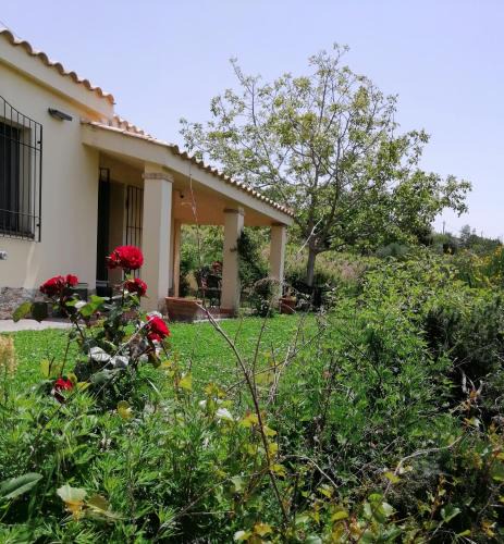 Seulo House | S'orrosa casa vacanze bifamiliare in montagna panorama stupendo Sardegna
