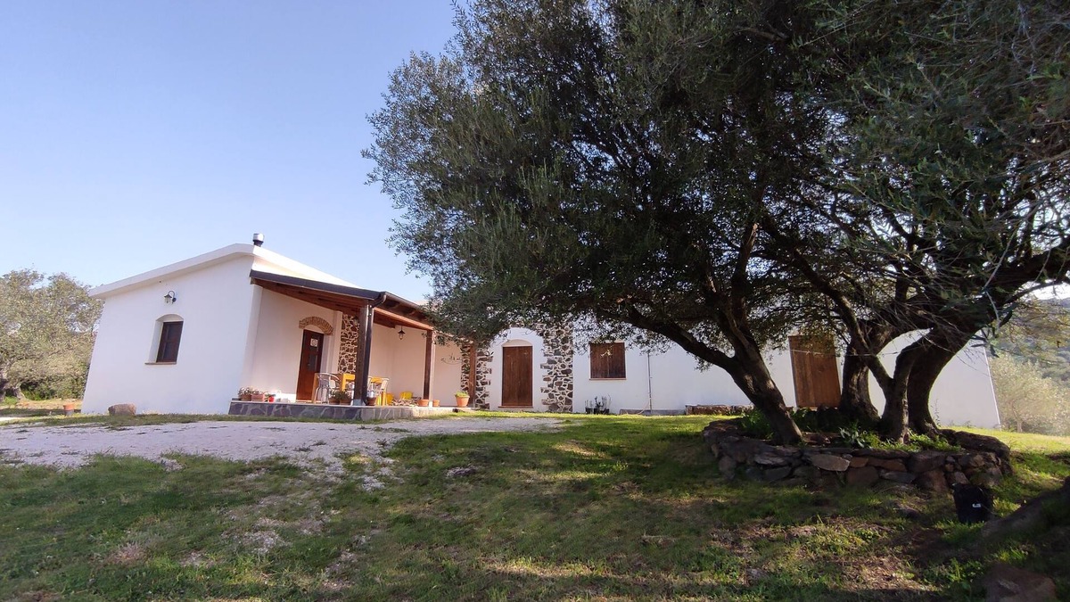 Dorgali House | Sa Carruba - Typical rural house surrounded by greenery with panoramic views
