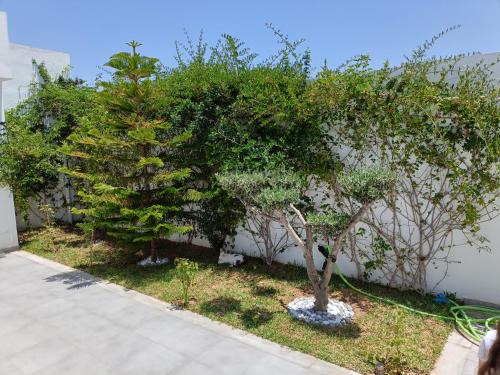 Djerba Ajim House | SABA Djerba Ajim