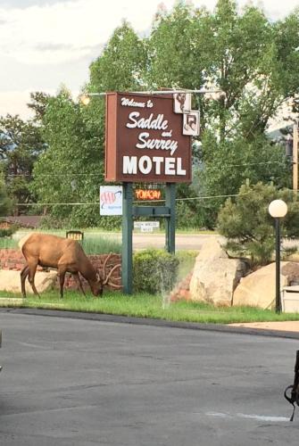 Estes Park Hotel | Saddle & Surrey Motel