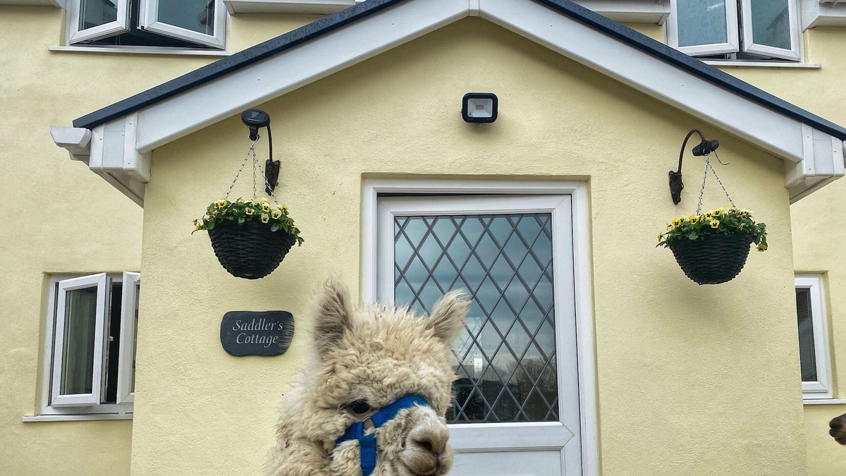 Clynderwen Cottage | SADDLERS COTTAGE, BERLLANDEG FARM, family friendly in Clunderwen