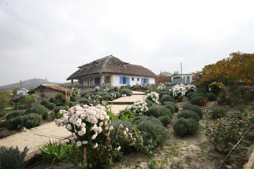 Sarichioi House | Safari Danube Delta