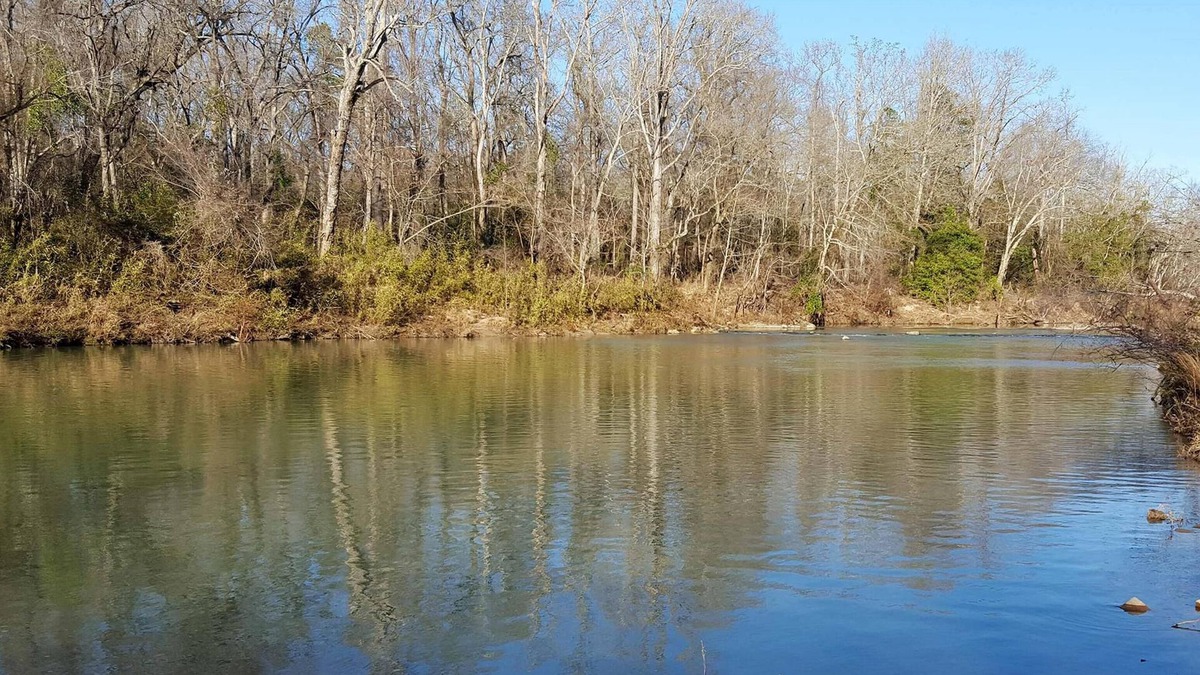 Battiest Cabin | Safari on Glover River: Sleeps 6, Hot Tub, Glover River, Fireplace, Canoe