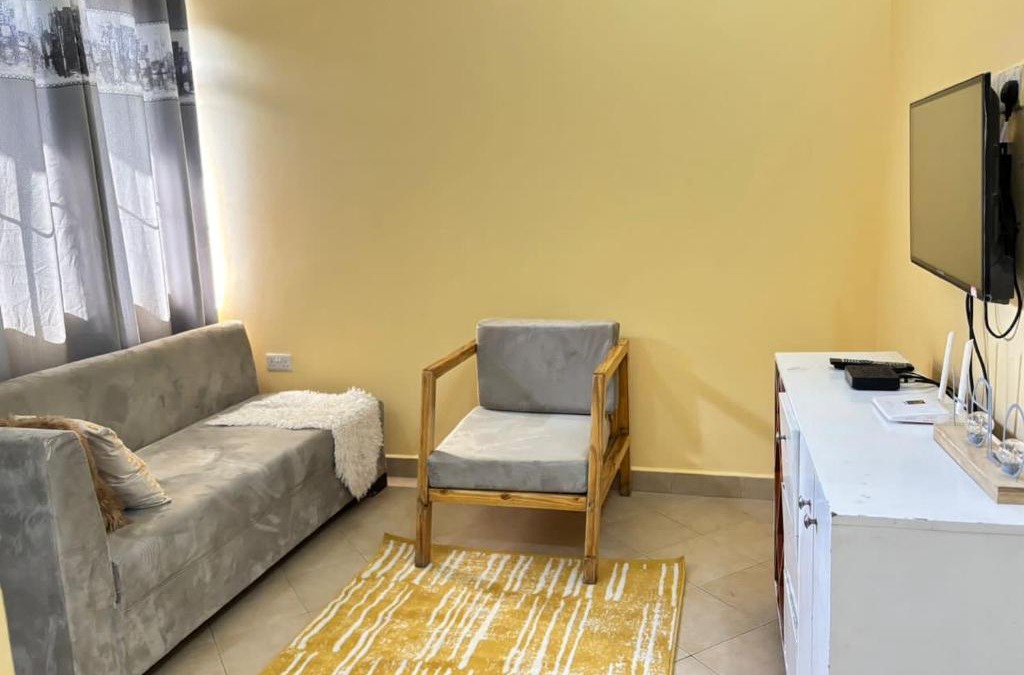 Sinza Apartment | Safi full equipped house