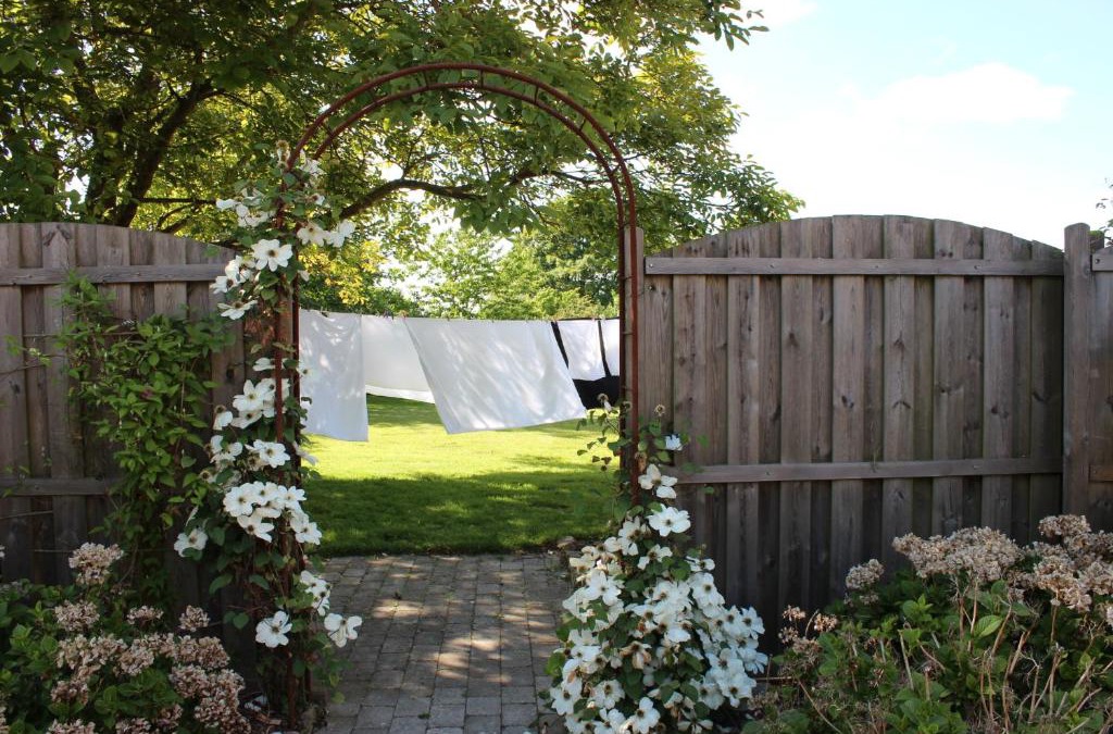 Faaborg Bed & Breakfast | Safine B&B