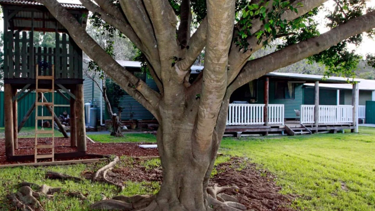 Anna Bay House | Sahara Trails 'Complex' - Sleeping groups, WiFi, Air Conditioning, Horse Riding and much more !