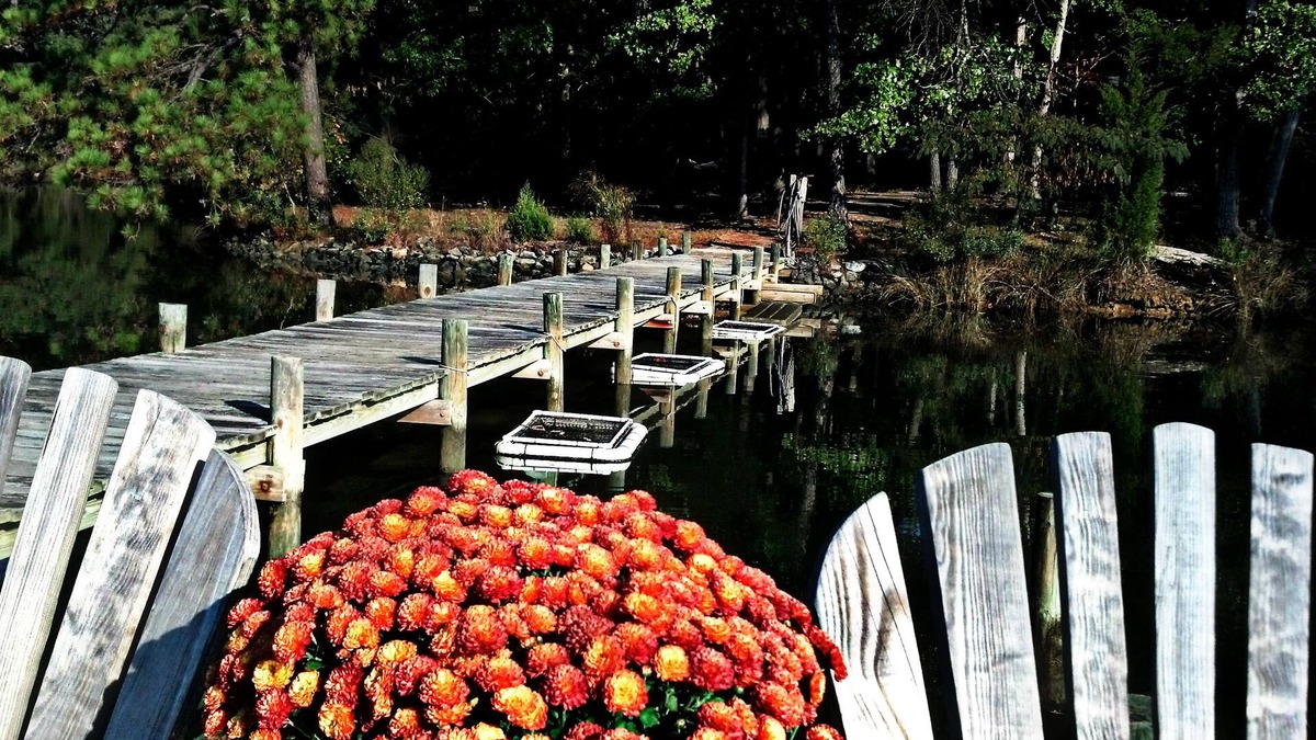 Lancaster House | Sail in! Paddle out! Dog-friendly 500' serene waterfront near Chesapeake Bay