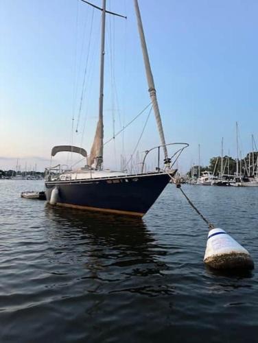 Naval Academy Boat Rental | Sailboat Experience in Annapolis