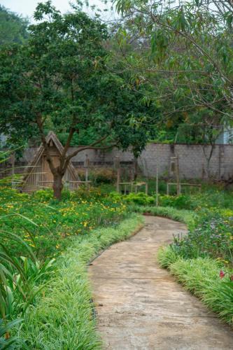 Moc Chau House | SAKURA House - Hoa Ban