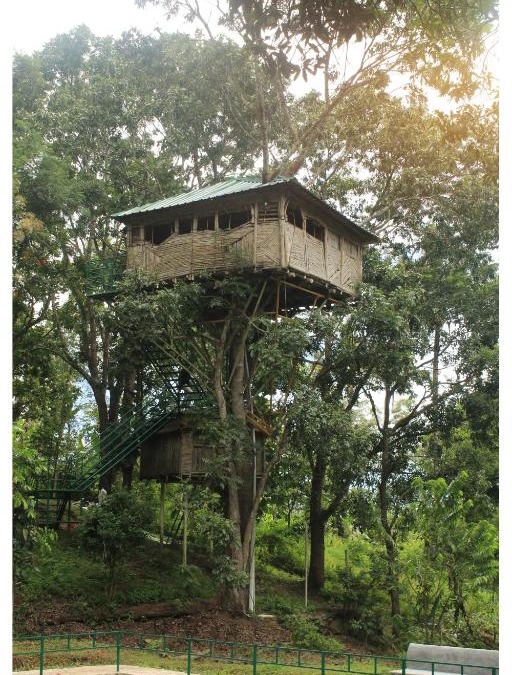 Ramakkalmedu Resort | Salaams Raama Heritage Eco Village
