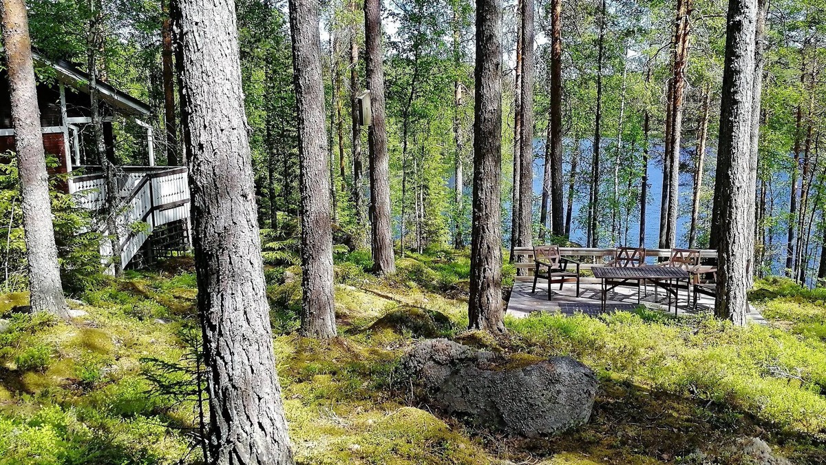 Orivesi Villa | Salkolahti Minttu